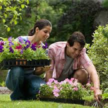 garden tips couple gardening avoid back pain