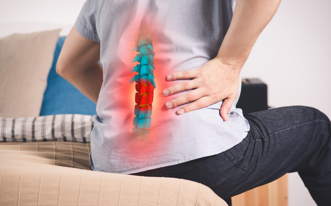 Top 5 Exercises for Back Pain Relief