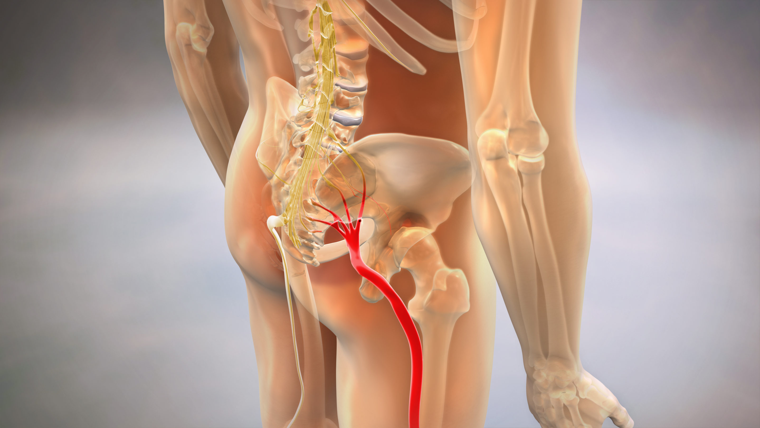 Sciatica Exercises: What's Best and What to Avoid - NJ's Top Orthopedic  Spine & Pain Management Center